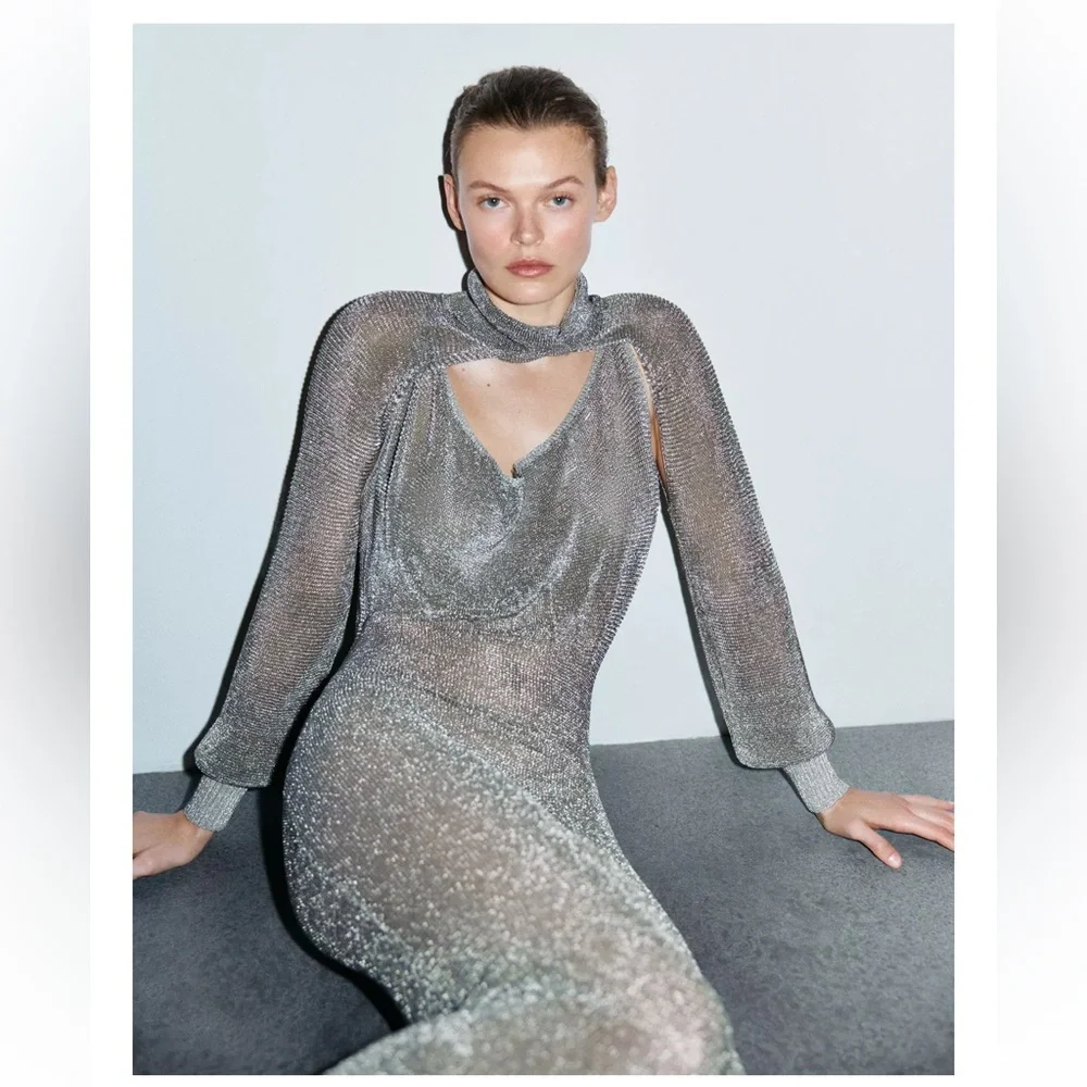 ZARA METALLIC THREAD MESH DRESS LIMITED EDITION - Picture 5 of 12